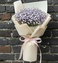 Букет цветов из:  Гипсофила в Дмитровское