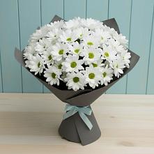 Букет цветов из:  Хризантемы #REPLACE_PRED# Дмитровское
