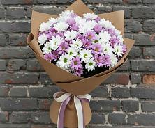 Букет цветов из:  Хризантемы в Дмитровское