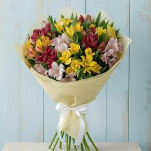 Букет цветов из:  Альстромерии #REPLACE_PRED# Дмитровское