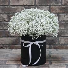 Цветочная композиция из Гипсофила в шляпной коробке в Дмитровское