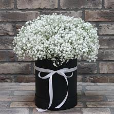 Цветочная композиция из Гипсофила в шляпной коробке в Дмитровское