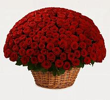 Премиум букет из: Розы #REPLACE_PRED# Дмитровское