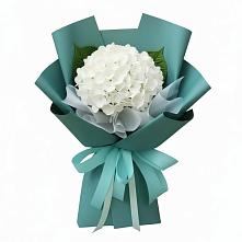 Букет цветов из:  Гортензия #REPLACE_PRED# Дмитровское